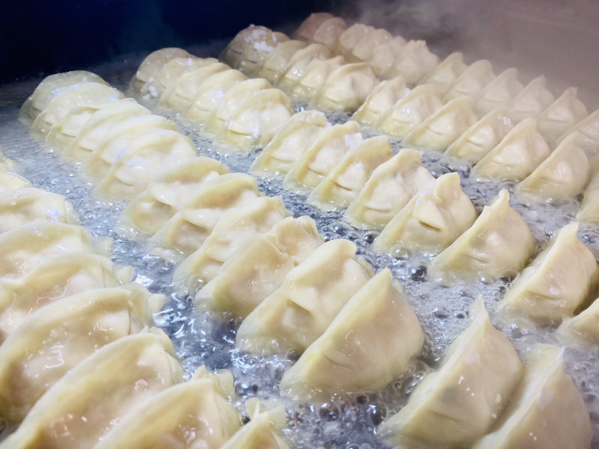 ほぁんほぁん点心餃子工房舗 古都の元祖焼餃子