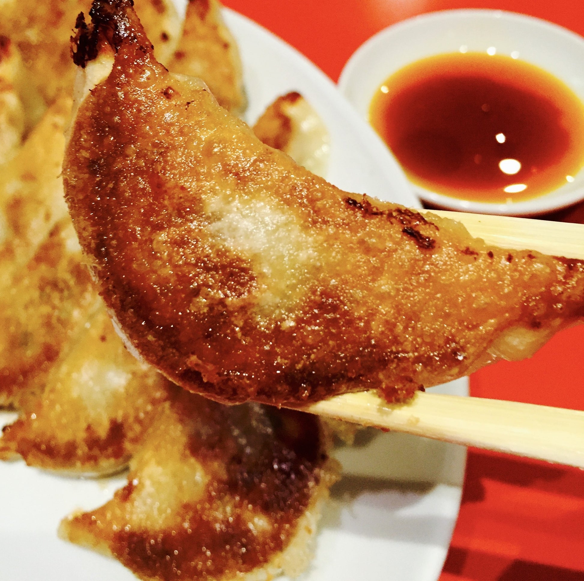 ほぁんほぁん点心餃子工房舗 古都の元祖焼餃子