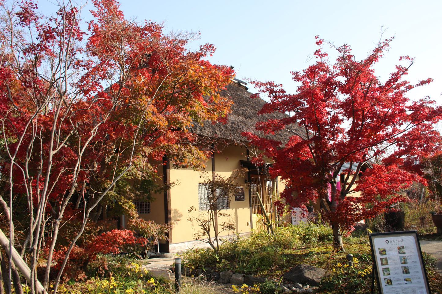 紅茶房 九州産紅はるか焼き芋