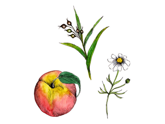 uruotte(ウルオッテ) 薬用 ハーバルエッセンス の成分 ハトムギ・モモ・大麦