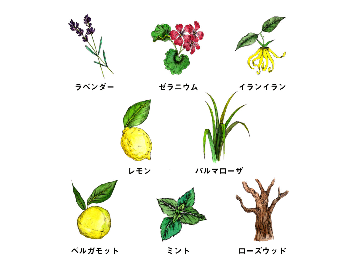 uruotte(ウルオッテ) 薬用 ハーバルエッセンス 優の精油