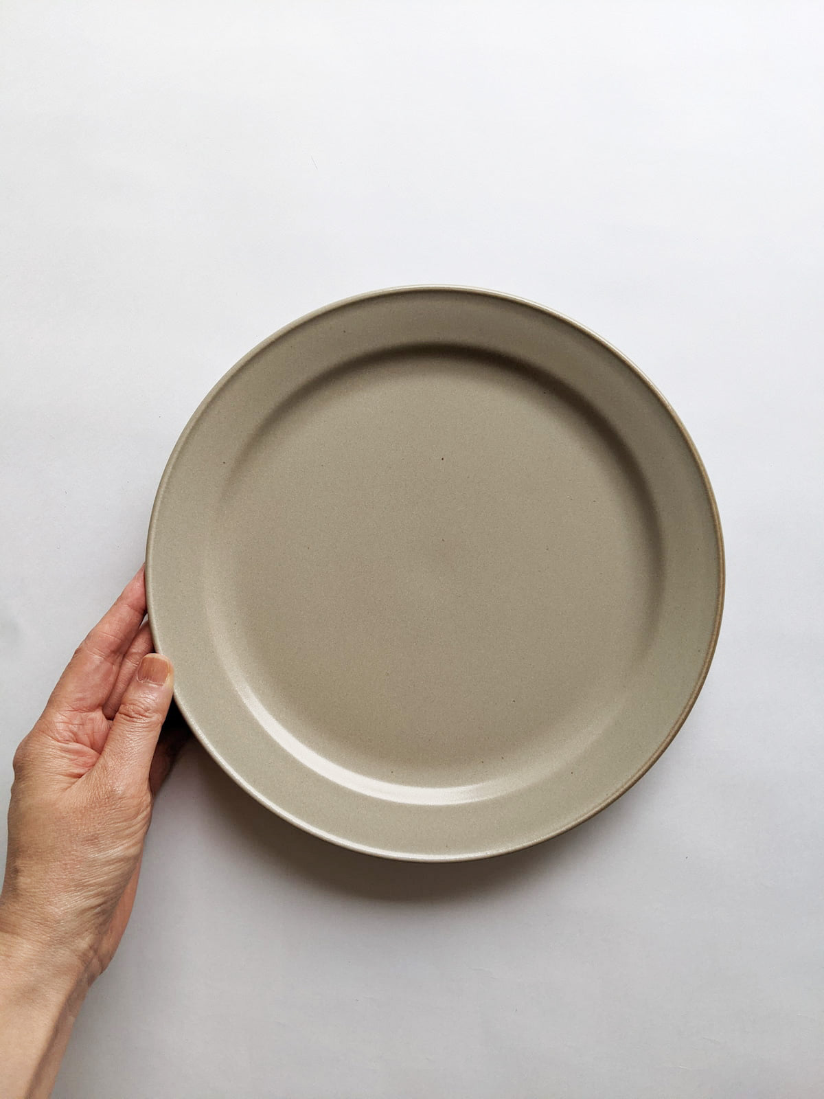 【9/10正午まで】KANEAKI SAKAI POTTERY / 美濃焼 / miranda M 24cm【蔵出し品・訳あり】