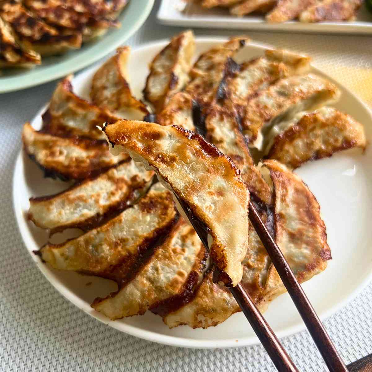 ソルティチキン餃子 （30個入り）タレなし／ほぁんほぁん点心餃子工房舗
