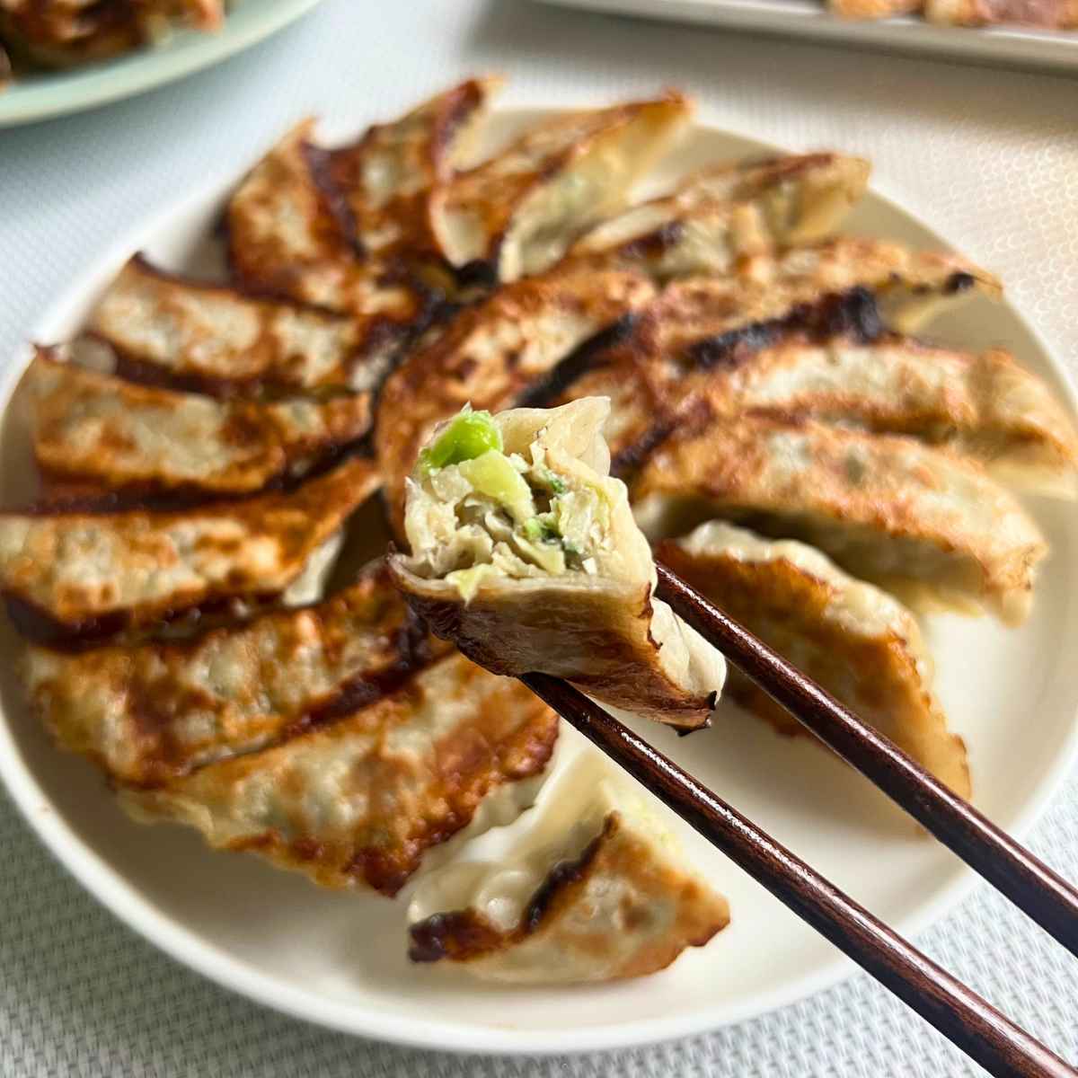 ソルティチキン餃子 （30個入り）タレなし／ほぁんほぁん点心餃子工房舗