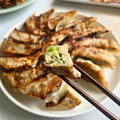 ソルティチキン餃子 （30個入り）タレなし／ほぁんほぁん点心餃子工房舗