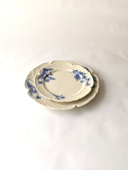 studio m'（スタジオエム）ラペ 250プレート