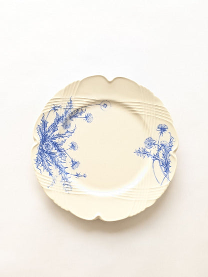 studio m'（スタジオエム）ラペ 250プレート