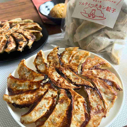 ソルティチキン餃子 （30個入り）タレなし／ほぁんほぁん点心餃子工房舗
