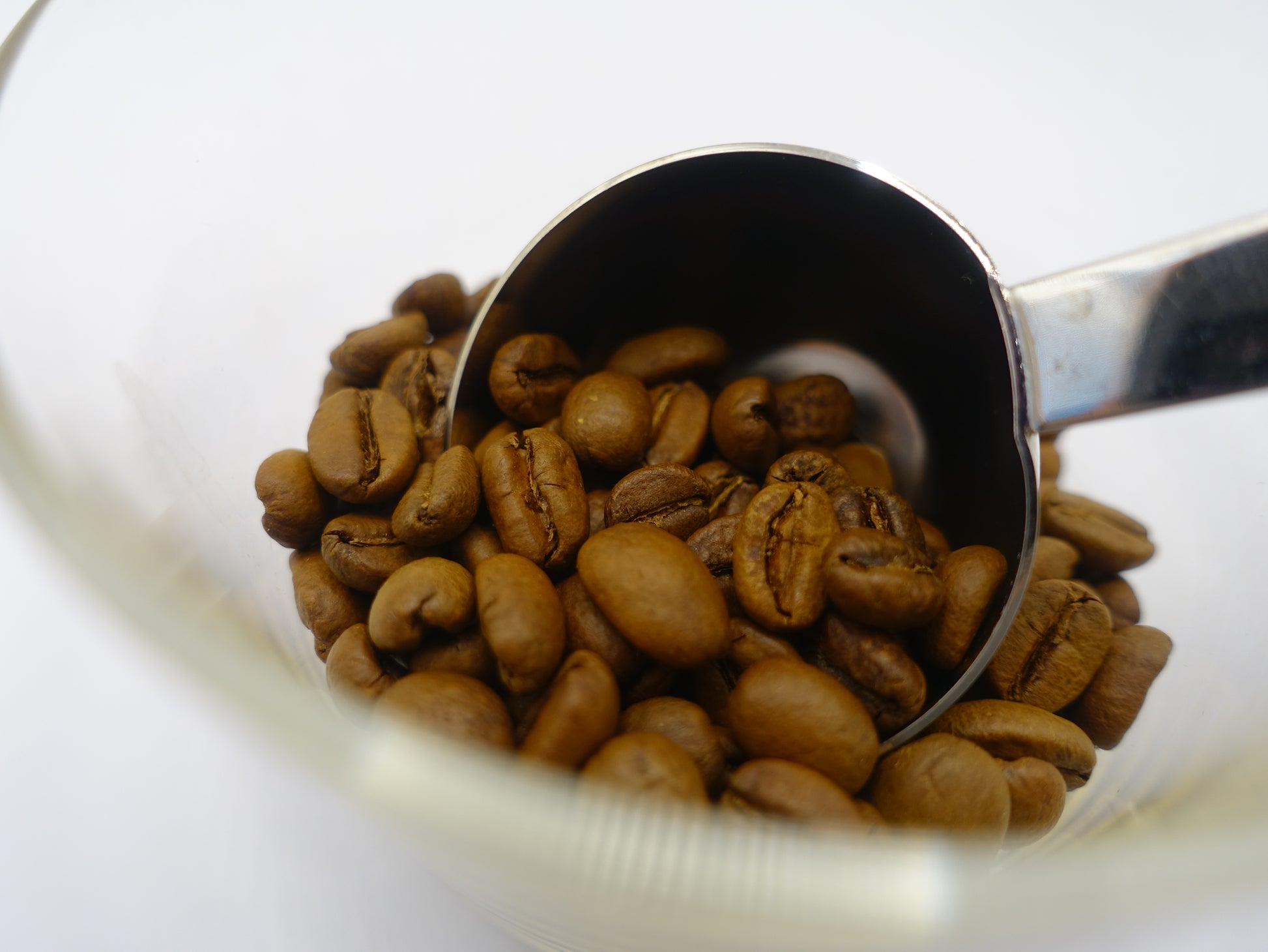 Aima限定Blank_coffee 中煎りコーヒー豆 