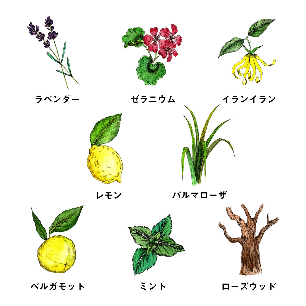 uruotte ナチュラルシャンプーの天然精油