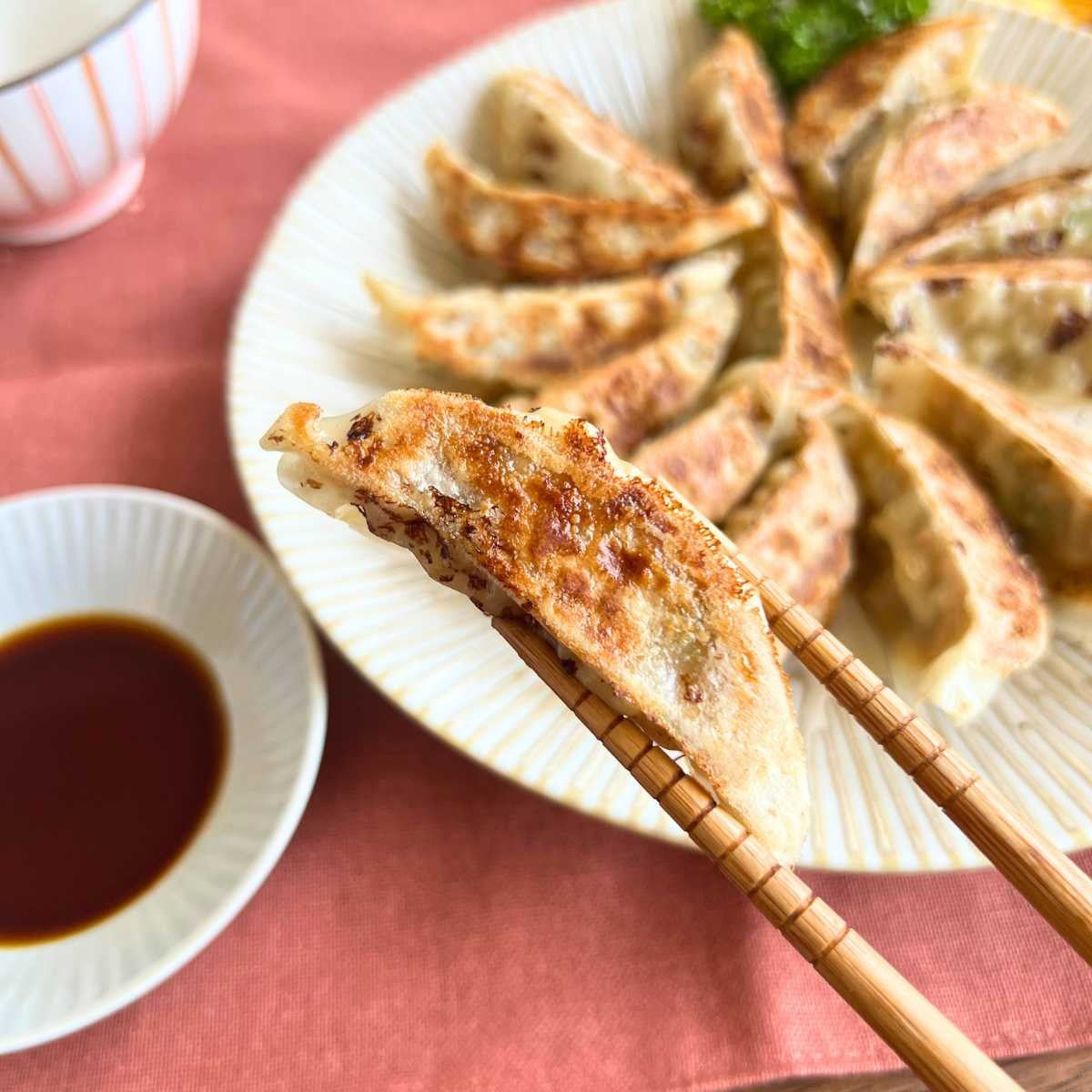 【期間限定・送料無料】ほぁんほぁん餃子「古都・京はんなり・ソルティチキン」3種食べ比べセット