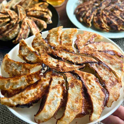 【期間限定・送料無料】ほぁんほぁん餃子 全4種食べ比べセット